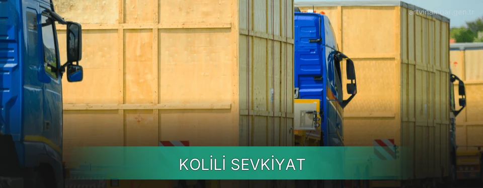 Artvin Kolili Sevkiyat Ambar Firmaları Artvin Kolili Sevkiyat Ambar Firmaları