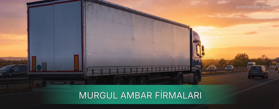 Murgul Ambar Taşımacılık