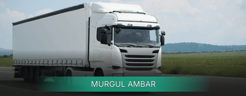 Murgul Ambar
